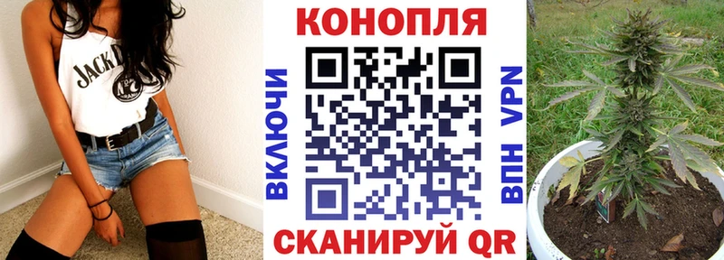 Бошки марихуана Bruce Banner  где найти   Ноябрьск 
